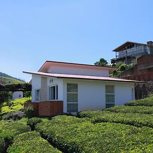 Single Room Mountain View